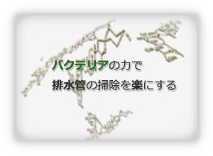 バクテリアの力で、排水管の掃除を楽にする、減らす