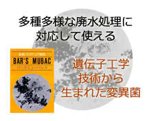 多種多様な排水処理に対応して使える　遺伝子工学技術から生まれた変異菌