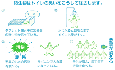 微生物はトイレの臭いをこうして除去します。